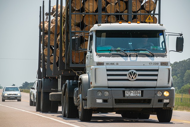 HGV/Lorry/Bus Driver Medicals